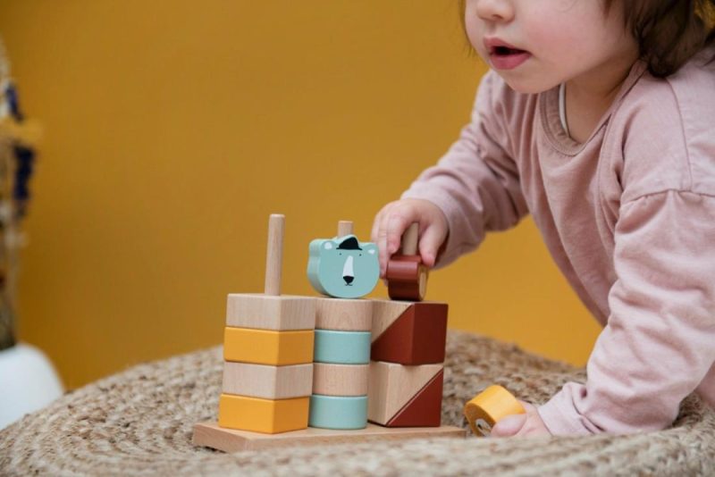 Animal Blocks Stacking Game Activity Toys