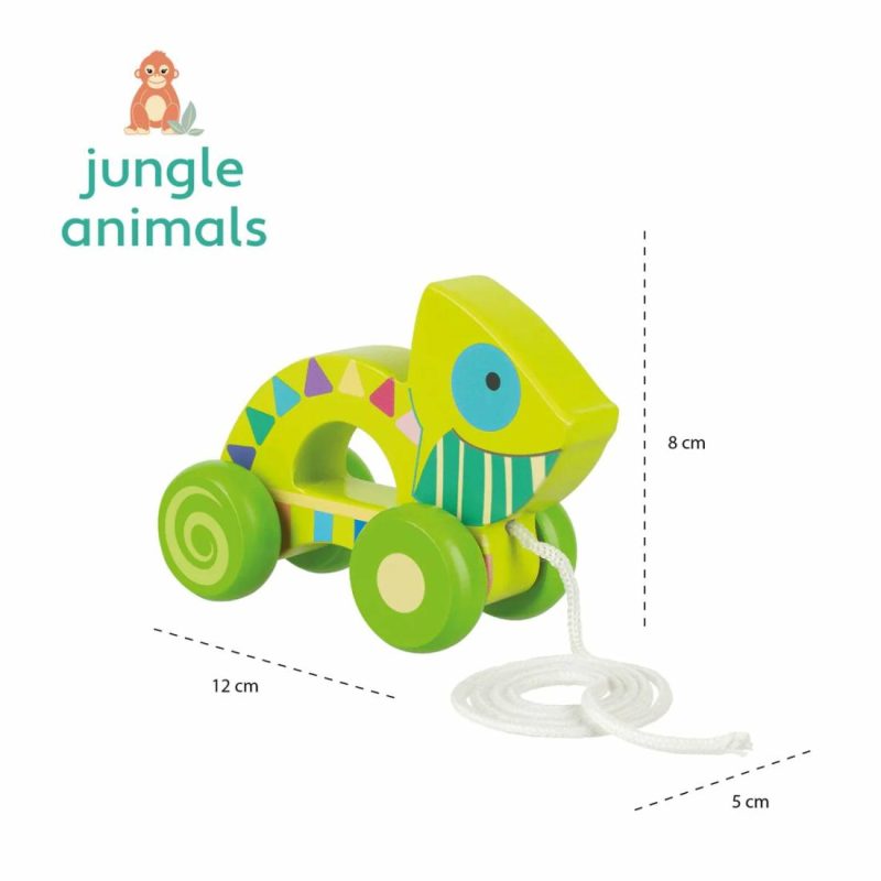 Chameleon Pull Along Educational Toys