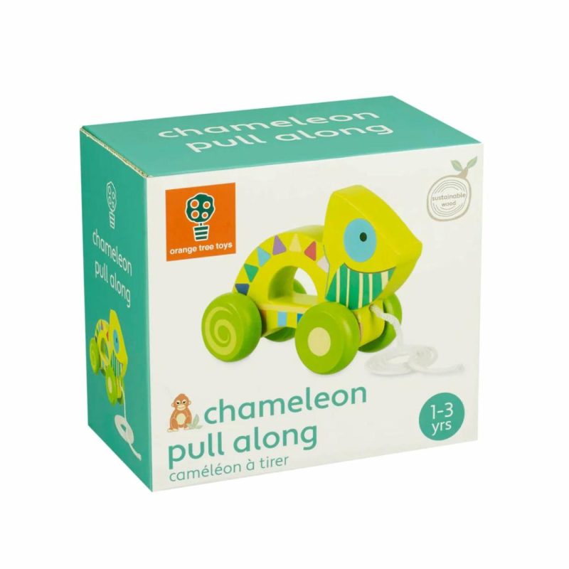 Chameleon Pull Along Educational Toys