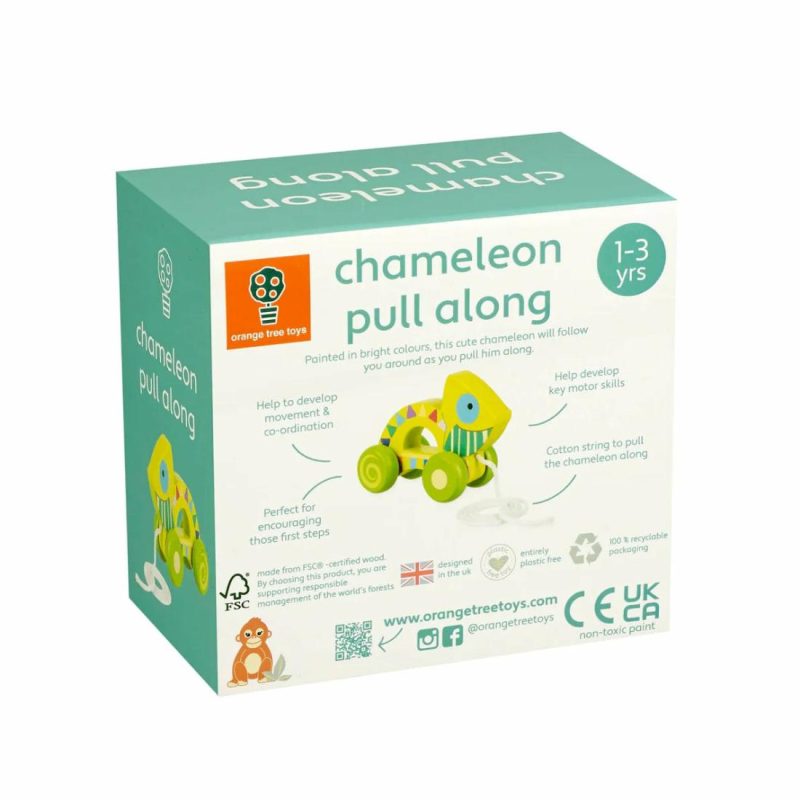 Chameleon Pull Along Educational Toys