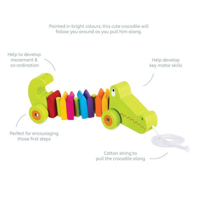 Crocodile Pull Along Educational Toys