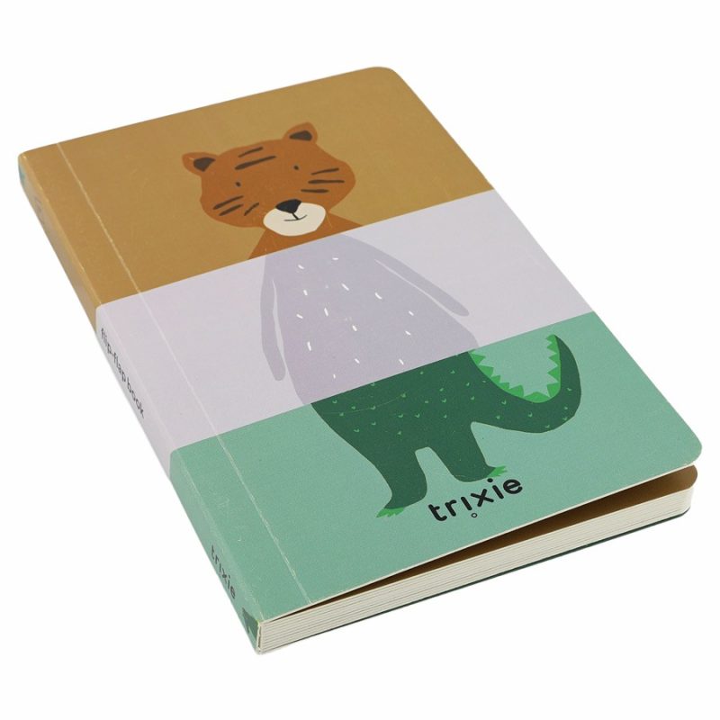 Flip-Flap Book Books