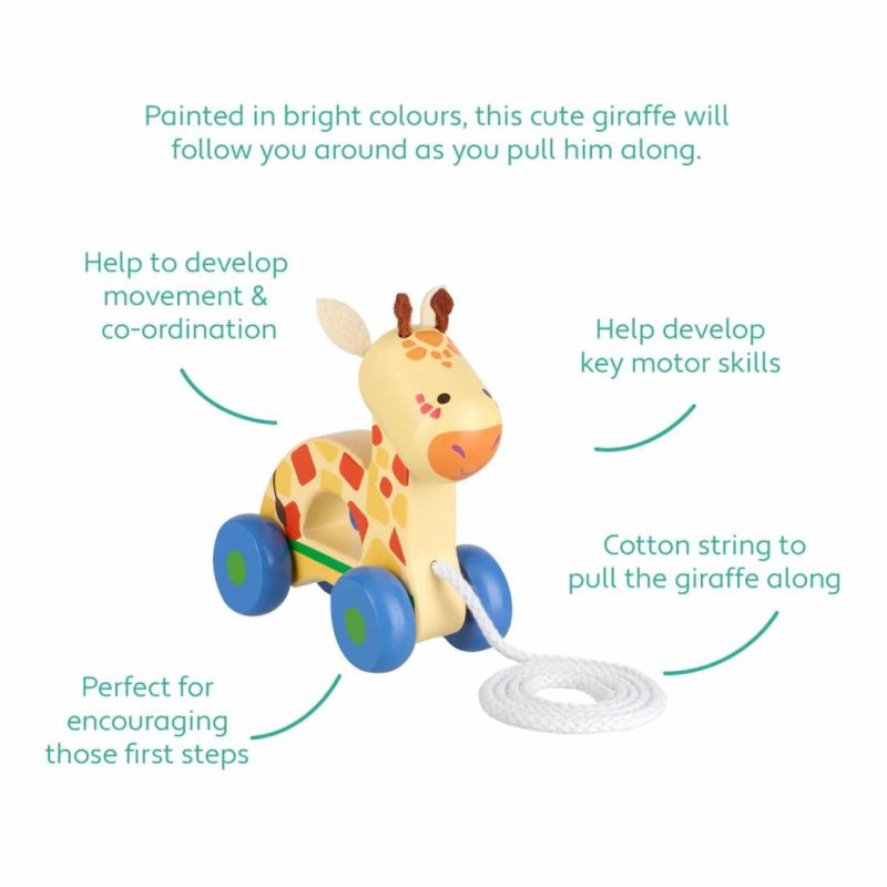 Giraffe Pull Along Educational Toys