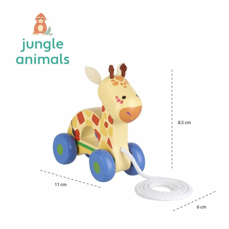 Giraffe Pull Along Educational Toys