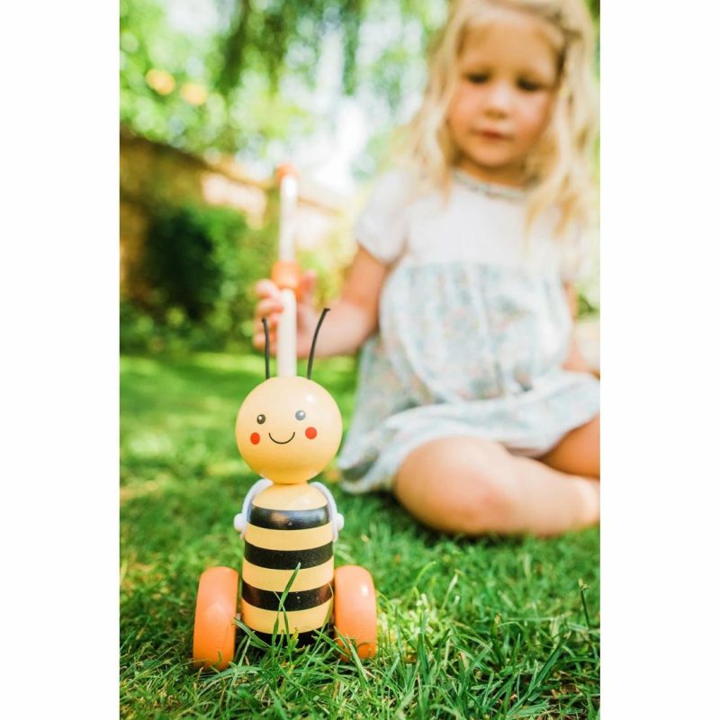 Honey Bee Push Along Educational Toys