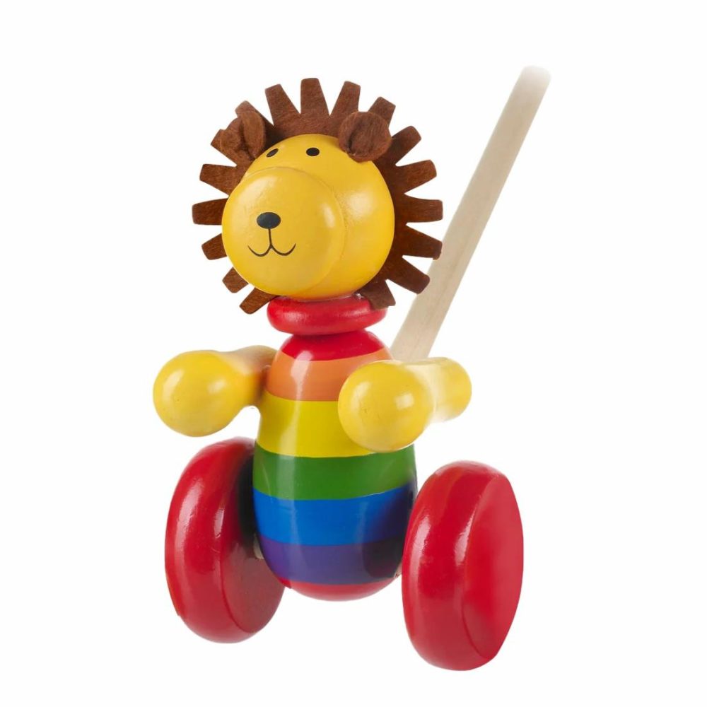 Lion Boxed Push Along Educational Toys