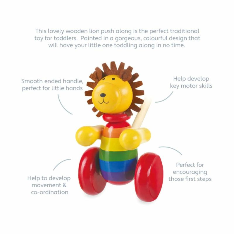 Lion Boxed Push Along Educational Toys