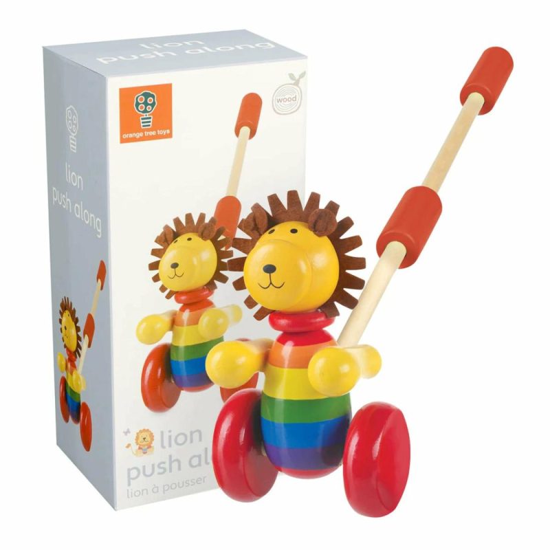 Lion Boxed Push Along Educational Toys