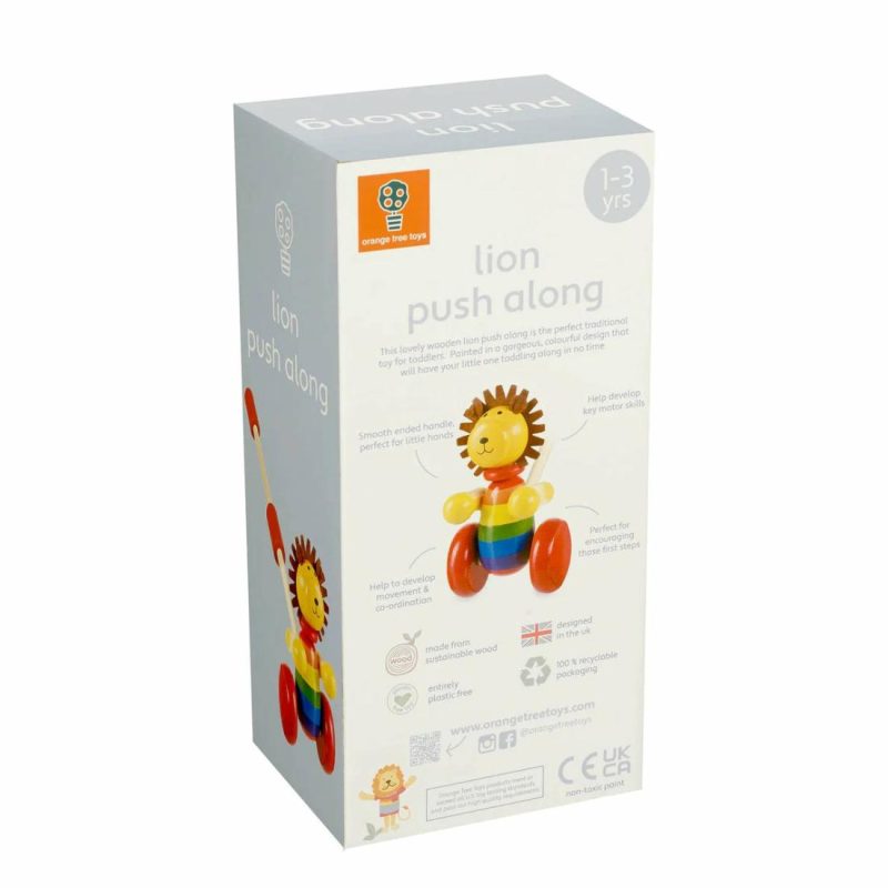 Lion Boxed Push Along Educational Toys