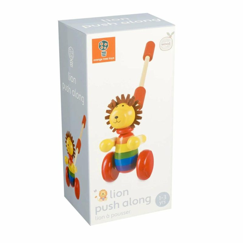 Lion Boxed Push Along Educational Toys