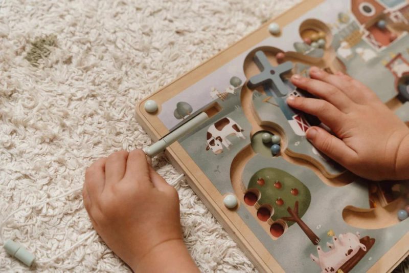 Magnetic Labyrinth – Little Farm Educational Toys