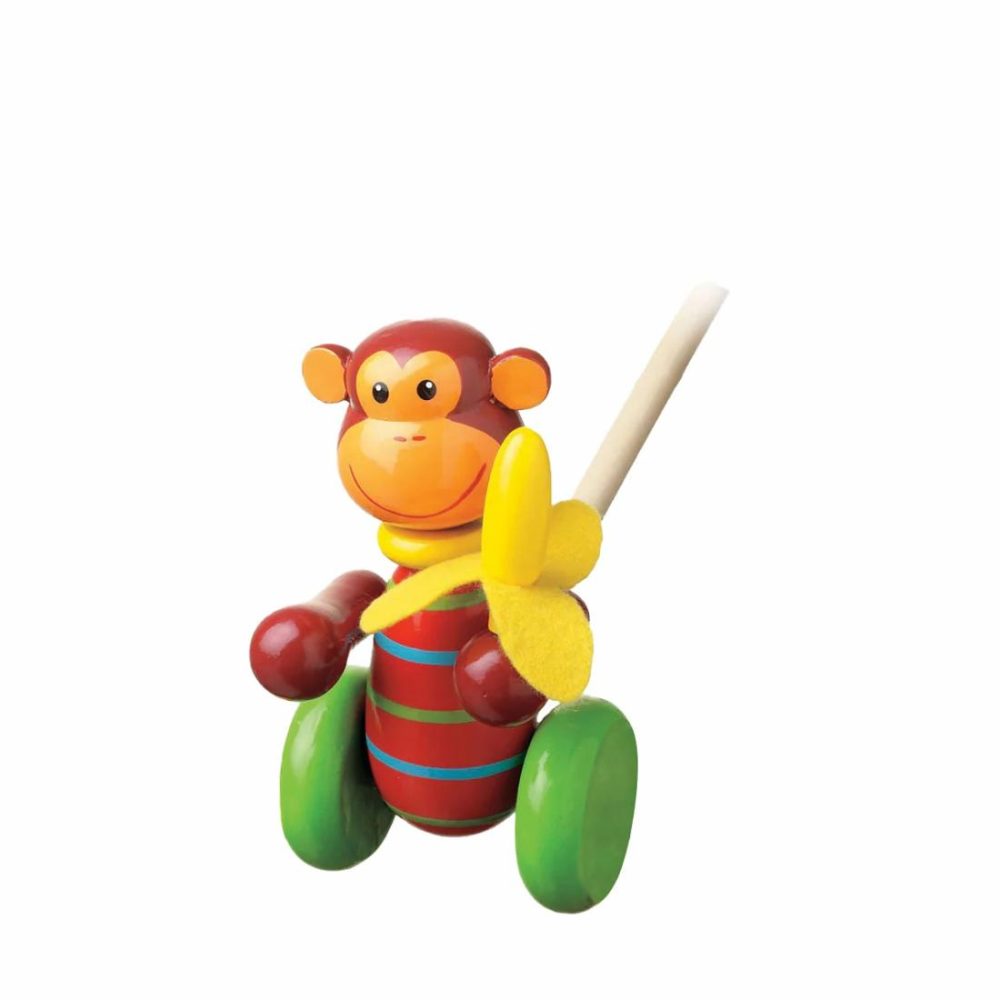 Monkey Boxed Push Along Educational Toys