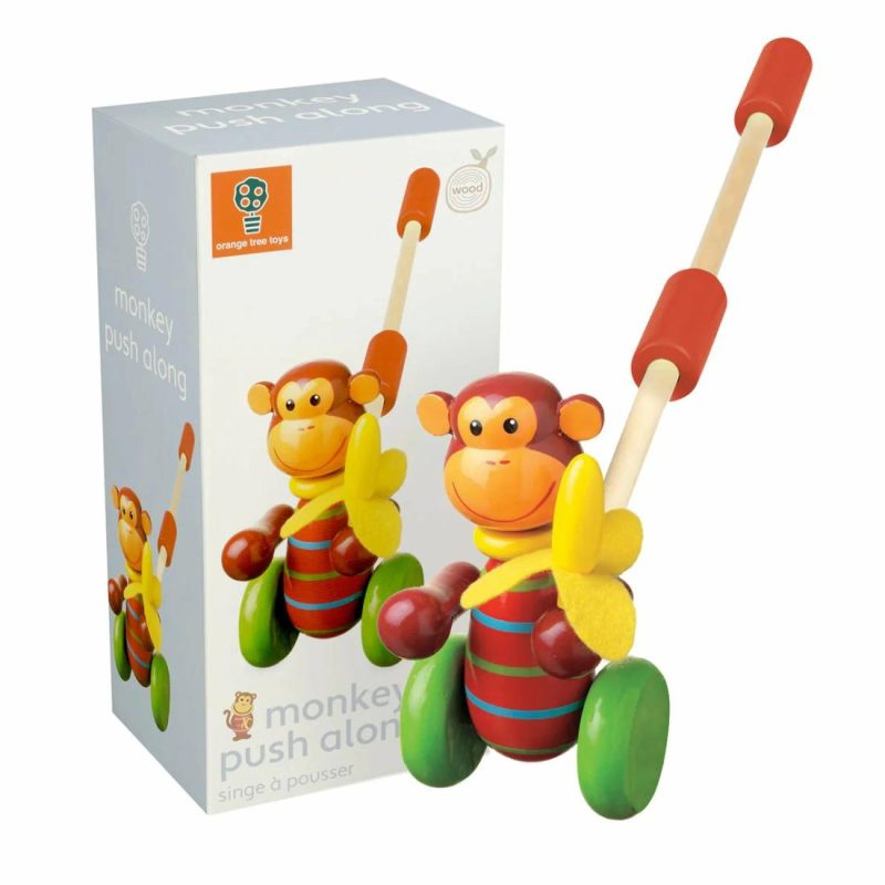 Monkey Boxed Push Along Educational Toys