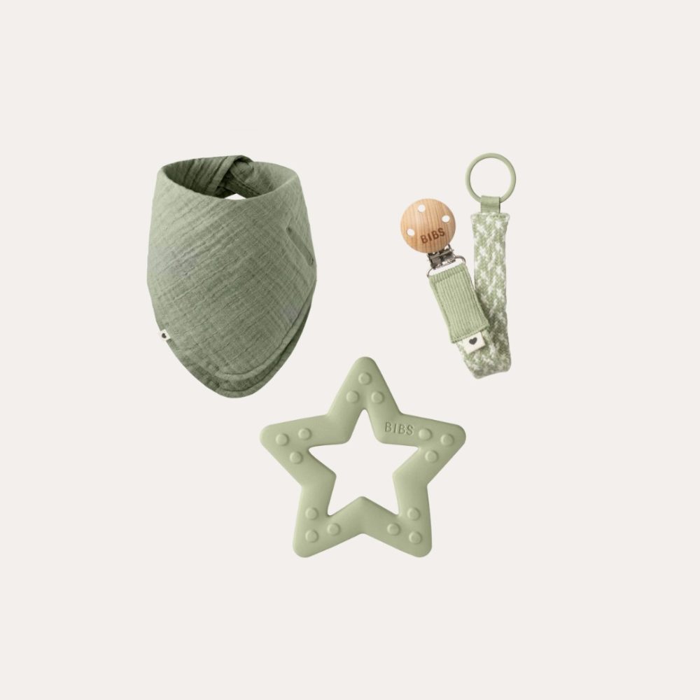 My First 6 Months Gift Set – Sage Dummies