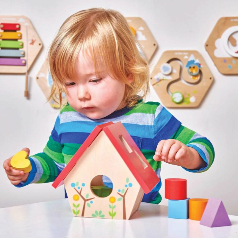 My Little Bird House Shape Sorter Activity Toys