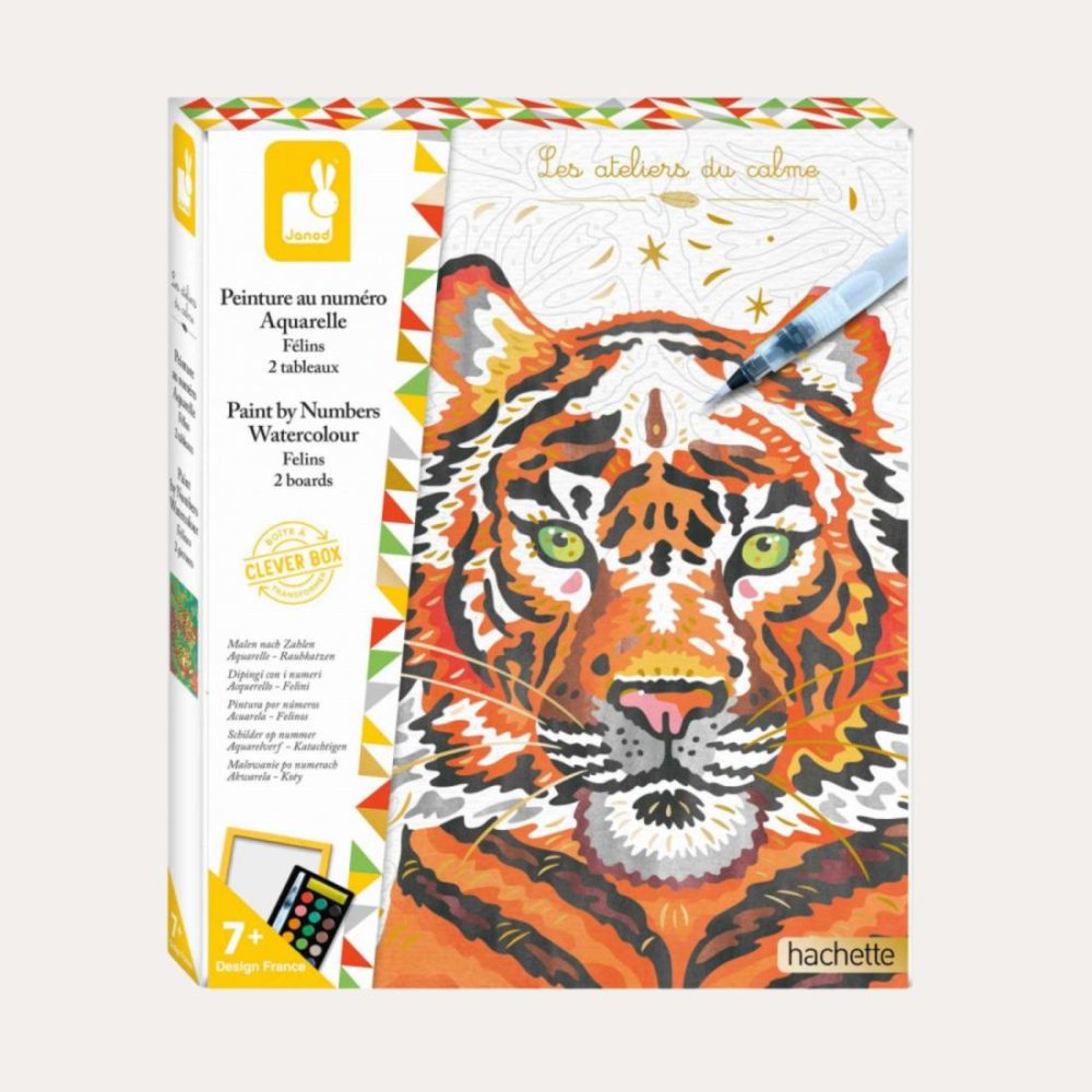 Paint By Numbers Set – Felines Books