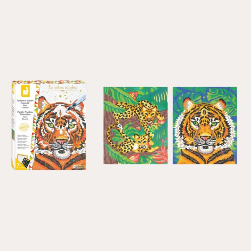 Paint By Numbers Set – Felines Books