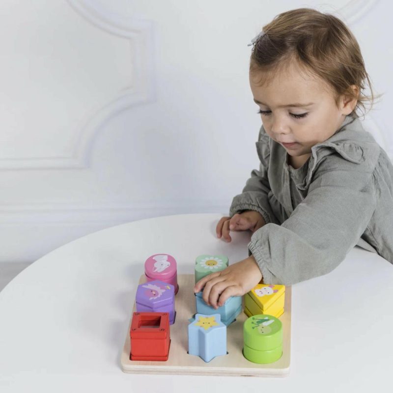 Petilou Sensory Shapes Educational Toys