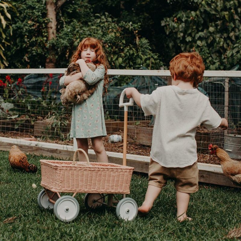 Rattan Wonder Wagon – Rose Educational Toys