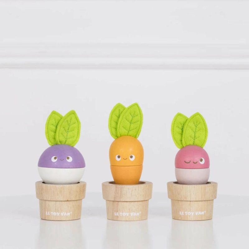 Stacking Veggies Activity Toys