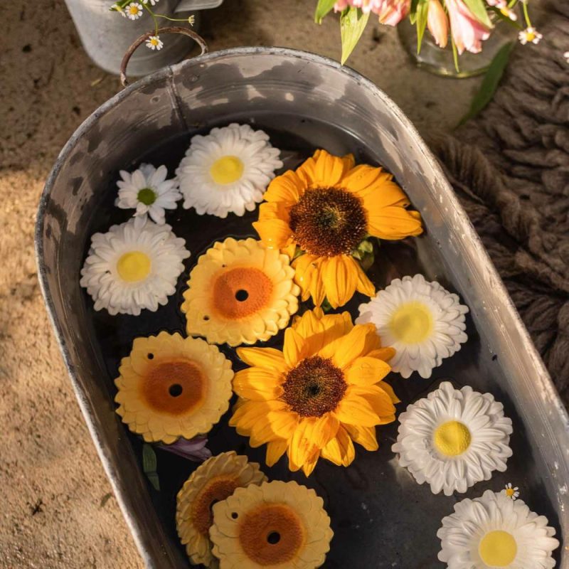 Sun The Sunflower Bathtime