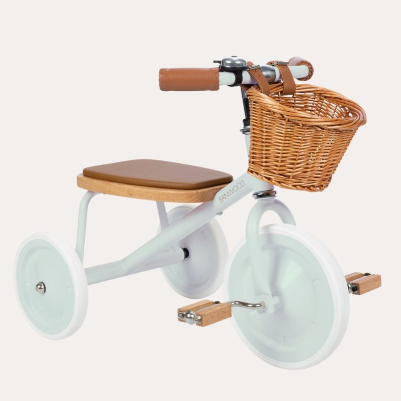 Trike Vintage – Pale Mint Activity Toys