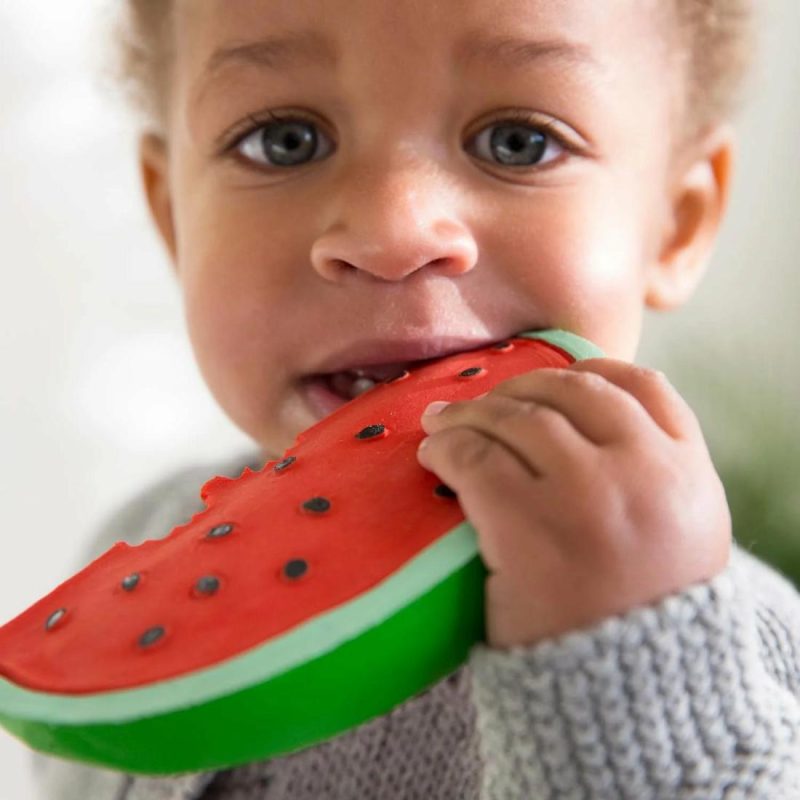 Wally The Watermelon Nursery & Baby