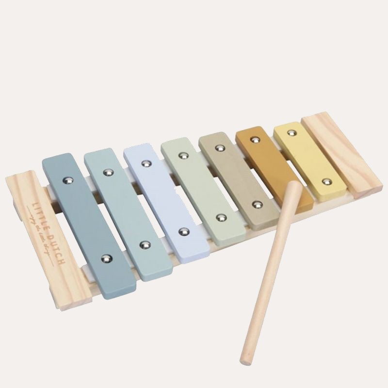 Xylophone – Blue Educational Toys