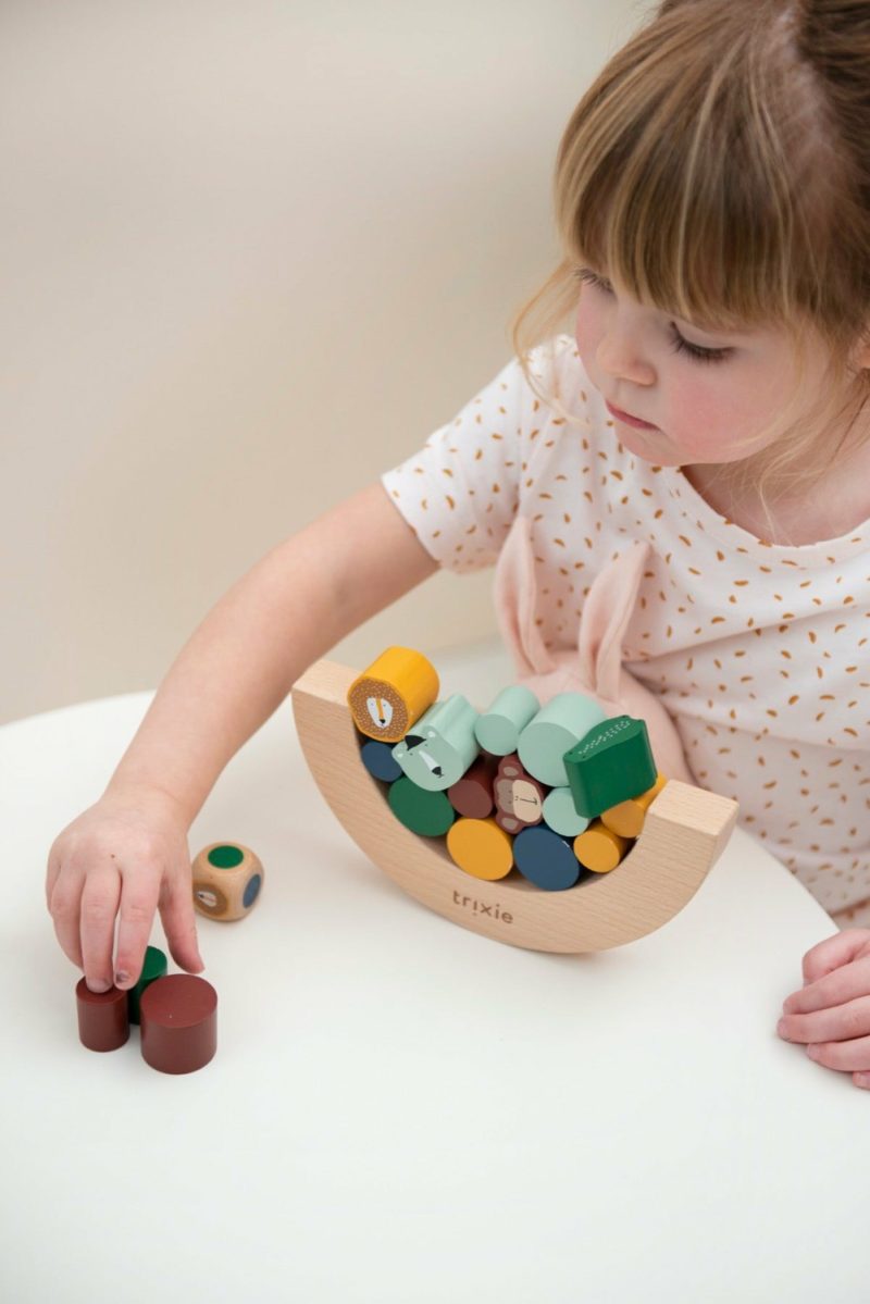 Animal Balancing Game Activity Toys