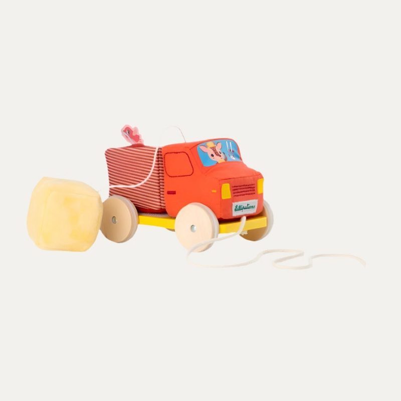 Pull Along Tipper Truck Educational Toys