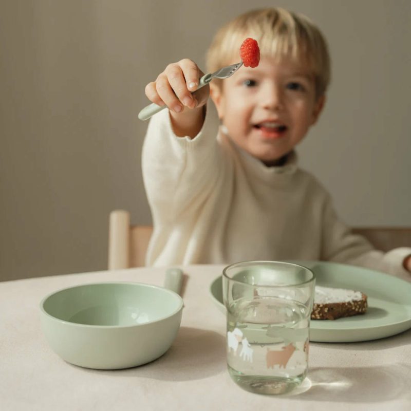 Children’s Dinnerware 6-Piece Set – Little Farm Dinner Plates, Bowls